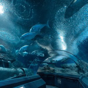 Underwater World Pattaya