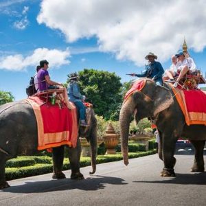 Nong Nooch Tropical Garden - Entrance Ticket + Sightseeing Bus + Show + Elephant Ridding 20 Minute + Buffet Lunch