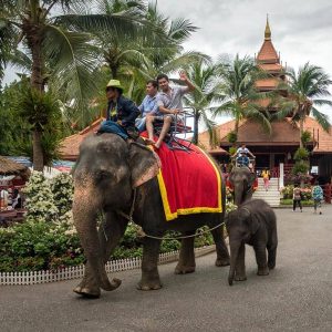 Nong Nooch Tropical Garden - PCTC - 101 - Entrance Ticket + Show + SIC Hotel Transfer