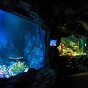 Underwater World Pattaya - Entrance Ticket