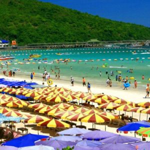 Coral Island (Koh Larn) Day Tour By Speed Boat Pattaya - PCTC - 106 - Speed boat + India Buffet Lunch + SIC Hotel Transfer (Indian Tourist Only)