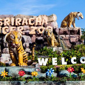 Tiger Topia Sriracha Zoo
