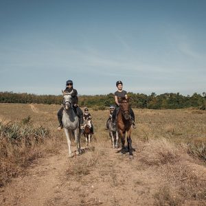Horse Riding- 30 Minutes Horse Riding + Hotel Transfer