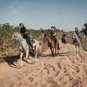 Horse Riding - 60 Minutes Horse Riding + Hotel Transfer