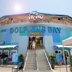 Dolphins Bay Phuket - Regular Seat Ticket