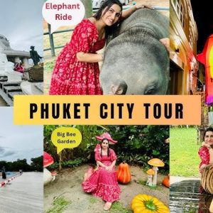 Phuket City Tour - Program : 1 - Elephant Trekking + Tiger Kingdom + Big Buddha + Chalong Temple + Take Photo With Elephant Baby + Cashew Nut Factory + Honey Farm + Hotel Transfer