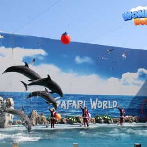 Safari World Bangkok - Package - D - Marine Park Ticket