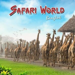 Safari World Bangkok - Package - C - Safari Park + Marine Park Ticket