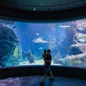 Sea Life Ocean World Bangkok