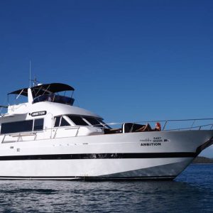 Private Yacht Party 4 Hours {Capacity 15 Person} - 2 Bedroom 2 Restroom Private Yacht 4 Hour + BBQ Chicken 20 Sticks + BBQ Vegetable 20 Sticks + Fruit + Water & Ice + Coca-Cola + Return Hotel Transfer