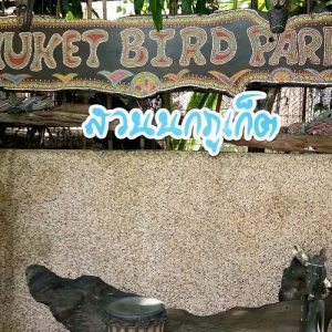 Phuket Bird Park
