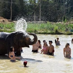 Play With Elephant
