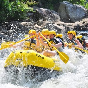 Rafting 5 km + Flying Fox + Take a bath with Elephant + Hotel Transfer